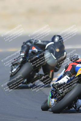 media/May-13-2023-SoCal Trackdays (Sat) [[8a473a8fd1]]/Turn 11 Backside (945am)/